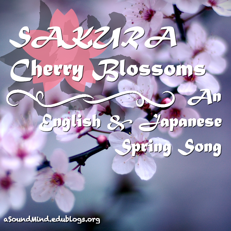 Sakura Cherry Blossoms A Spring Song A Sound Mind